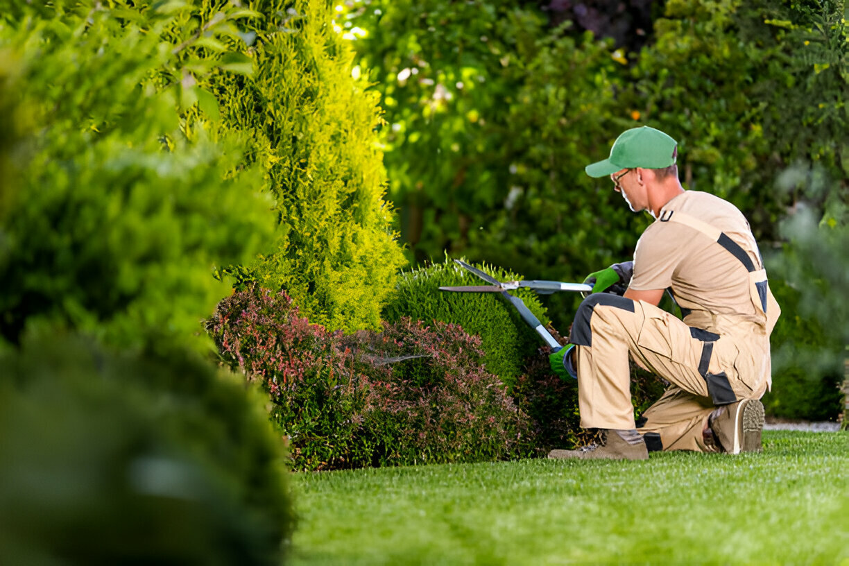 Landscaping and Maintenance